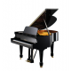 Bechstein A160