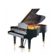 C. Bechstein  B212