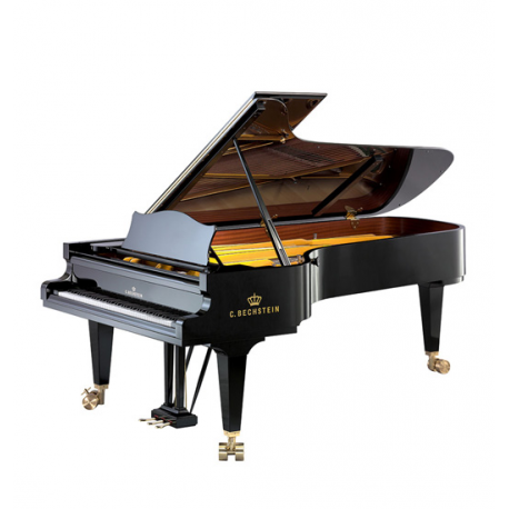 C. Bechstein  D282