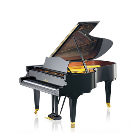 C. Bechstein  B212