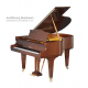 Bechstein A175