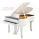 Bechstein A228